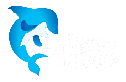 BALLENA AZUL STORE